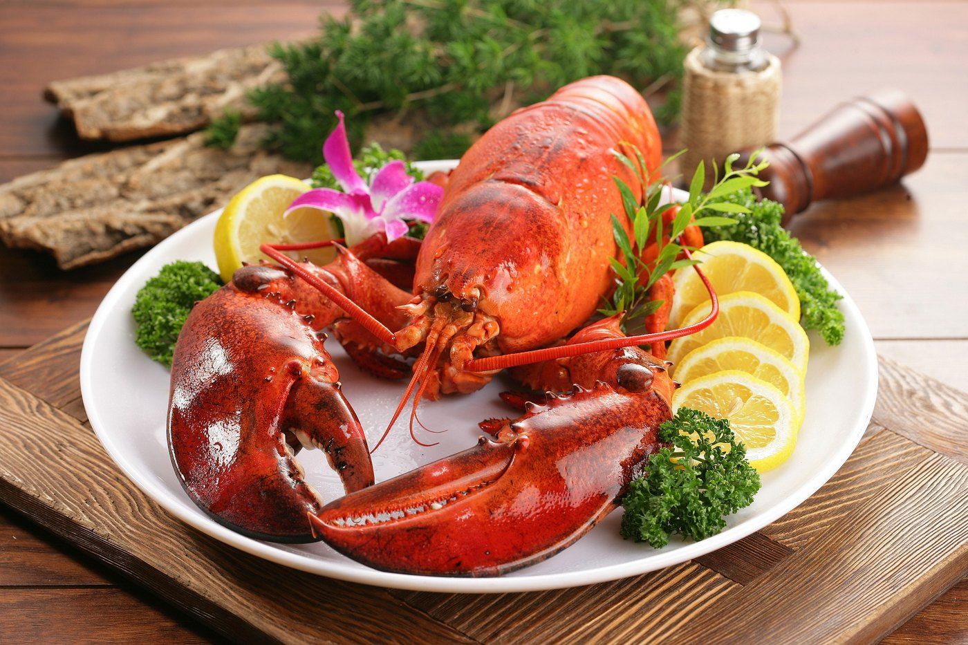 Homard frais servi par le traiteur Réception 108
